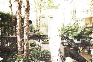 庭、ベランダのデザイン、屋上緑化・壁面緑化